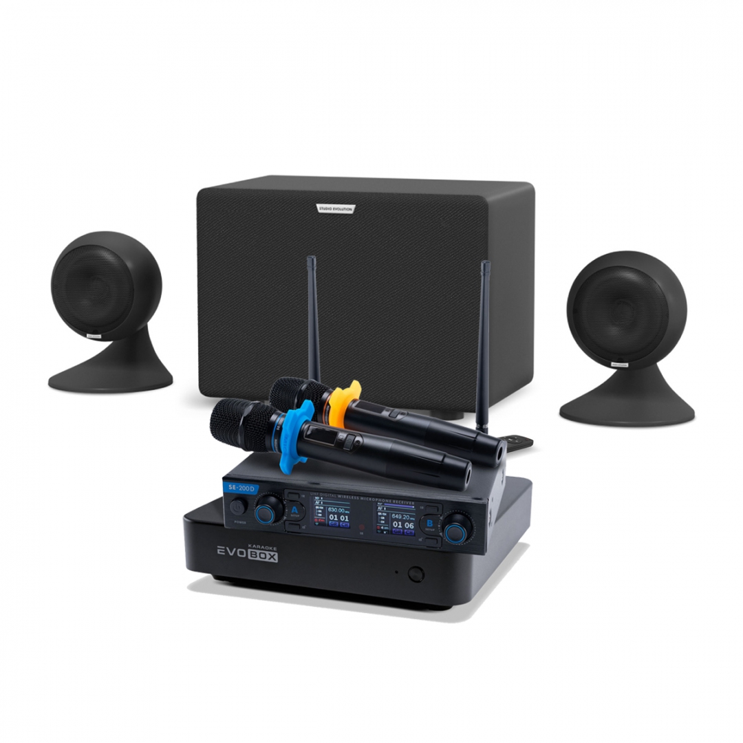 караоке-комплект EVOBOX + EvoSound Sphere 2.1 в Москве