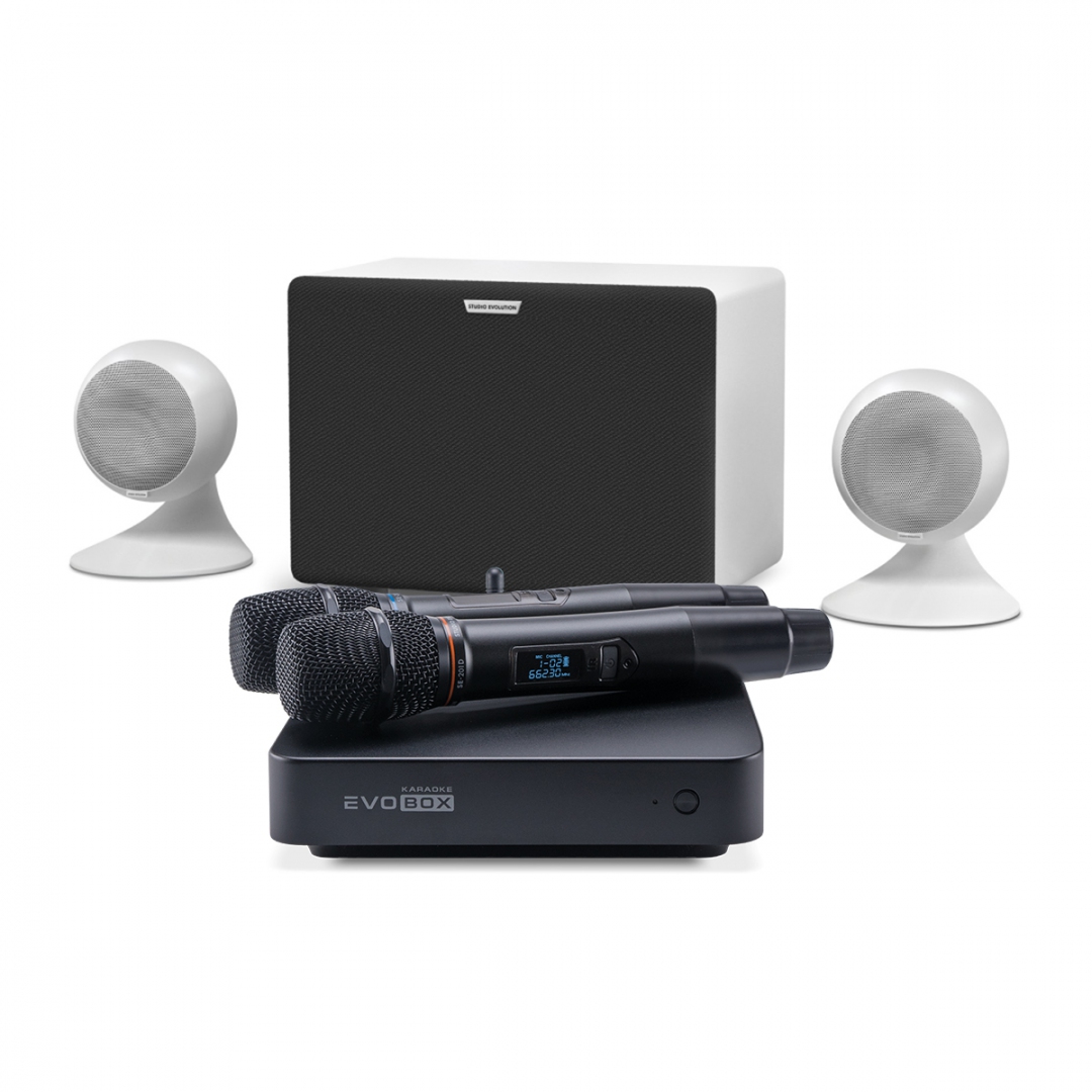 караоке-комплект EVOBOX Classic + EvoSound Sphere 2.1 в Москве
