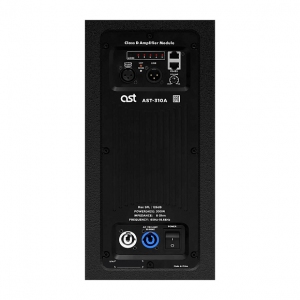 Активная акустическая система AST-310A в Москве